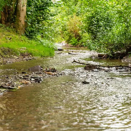 Panorama | 4 Personen בית נופש